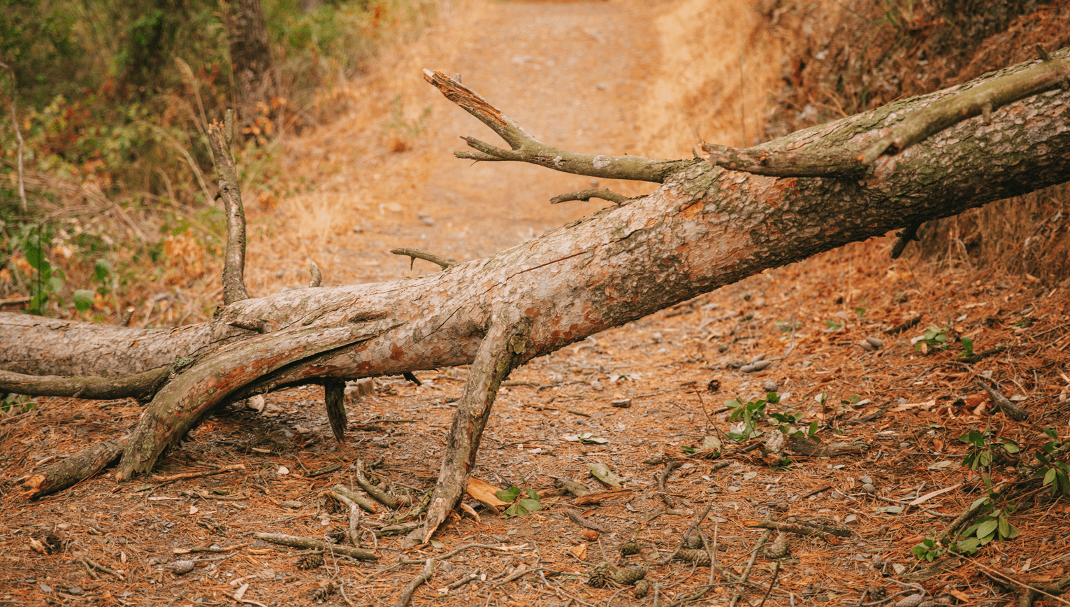 Du betrachtest gerade Sturmtief Mortimer und die Folgen